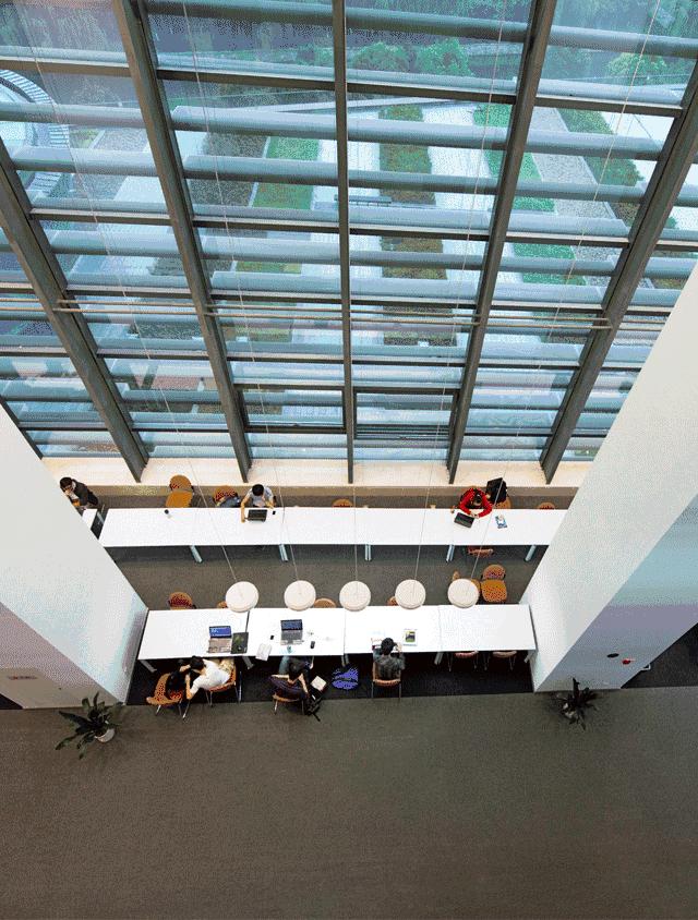 西交利物浦苏州校区,苏州西交利物浦美女