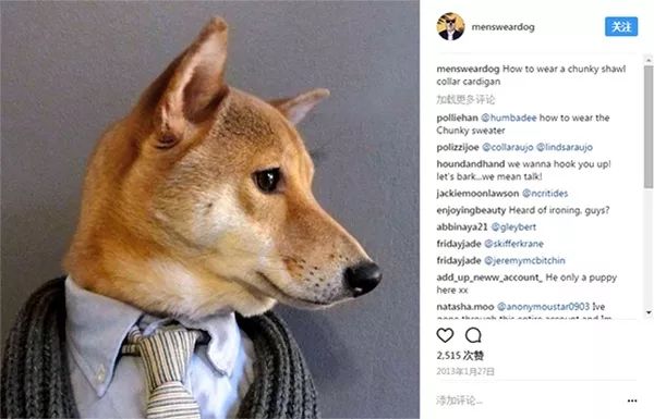 帅到各种时尚大牌求合作，它居然是条狗……你们信吗？