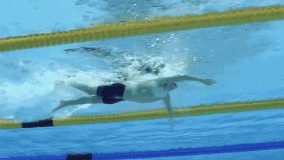 中游体育自由泳划手技巧,中游体育自由泳手脚配合视频