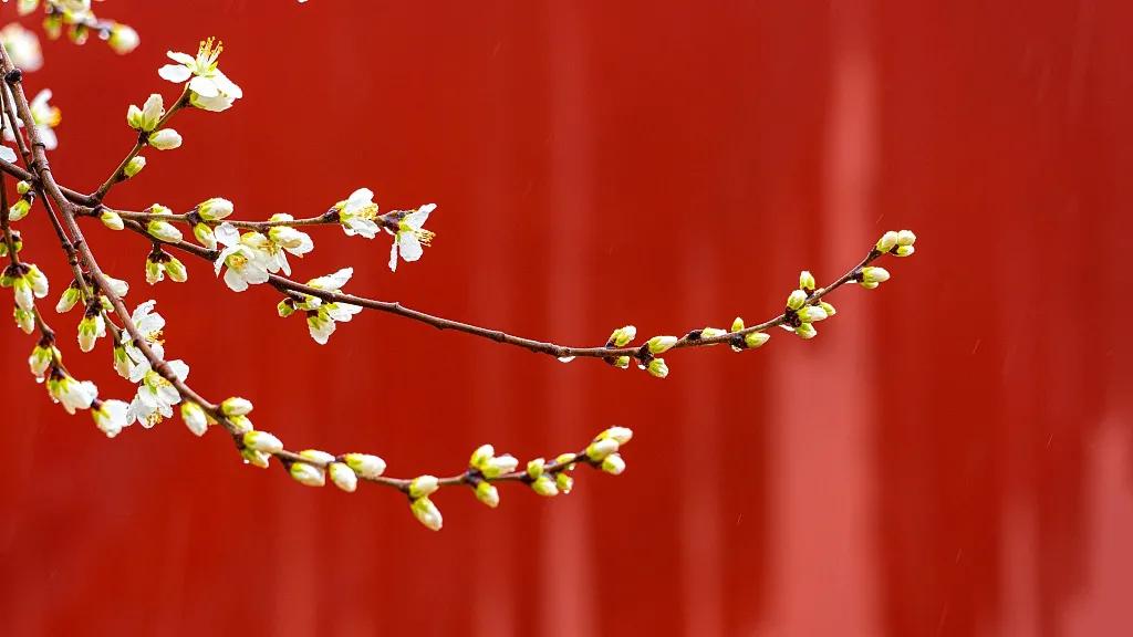 图观天下图片,图观天下图