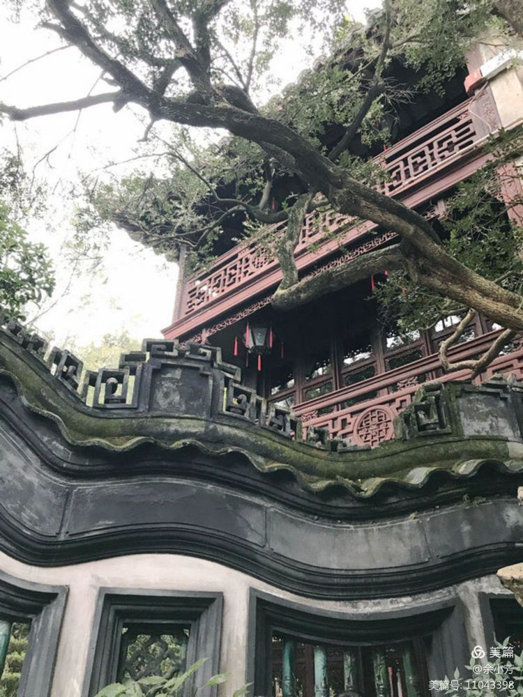 上海豫园介绍,走进上海完整版