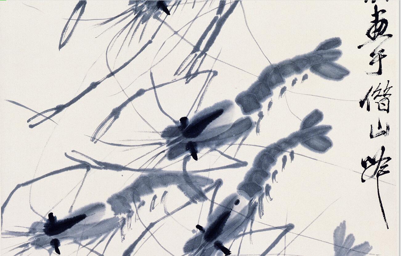 白石老人画虾视频大全,白石老人画虾的感悟
