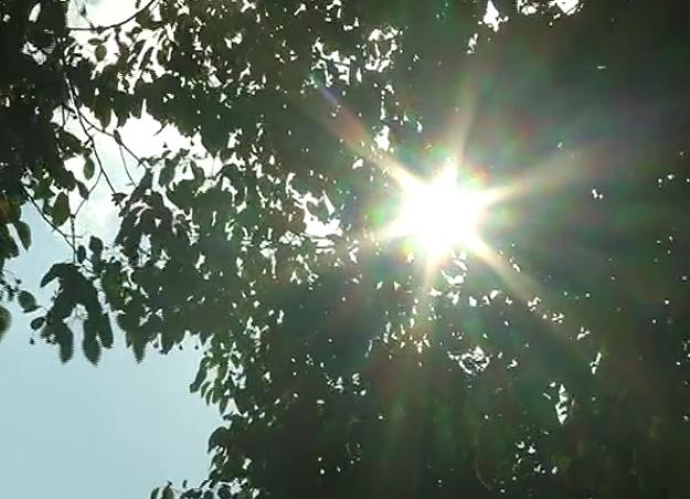 中暑疾病包括热死亡吗,中暑会出人命吗