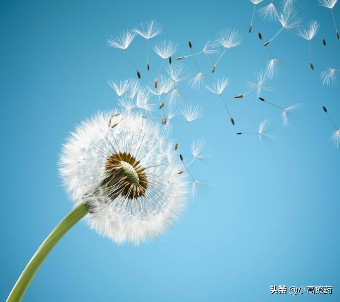 关于肺癌的基本常识,肺癌ii期是什么意思