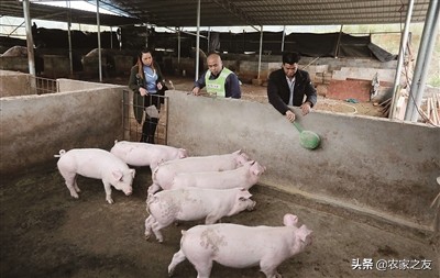 融安县大良镇古兰村覃彩榴带领群众建设脱贫致富路的故事