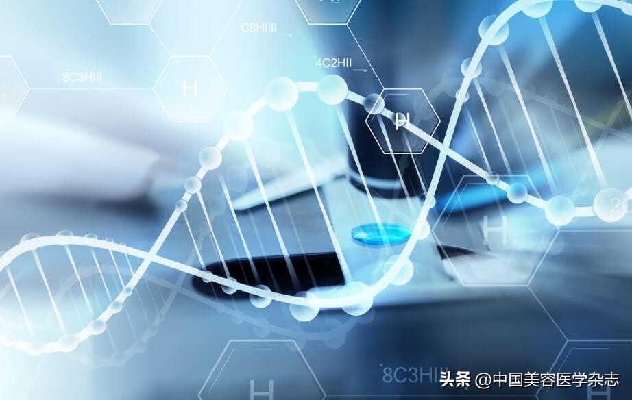 中国美容医学2010年第5期,中国美容医学杂志在线阅读