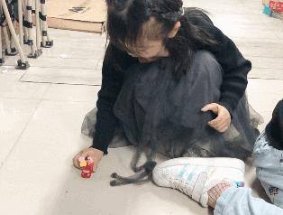 抖音上最火的十款玩具,抖音上很火的十款小玩具