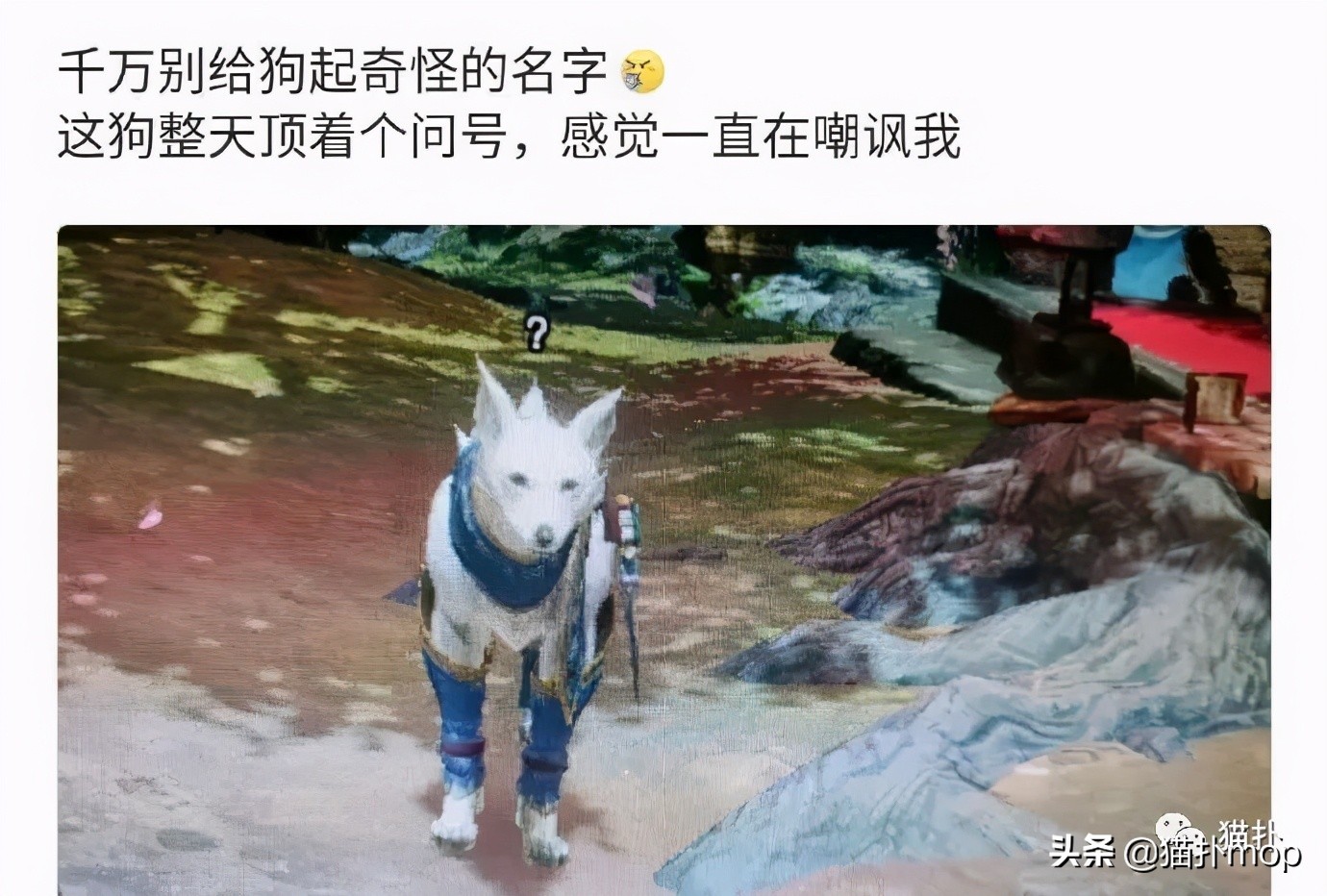 原来游戏id还可以这么玩,那些失望到极致的游戏id