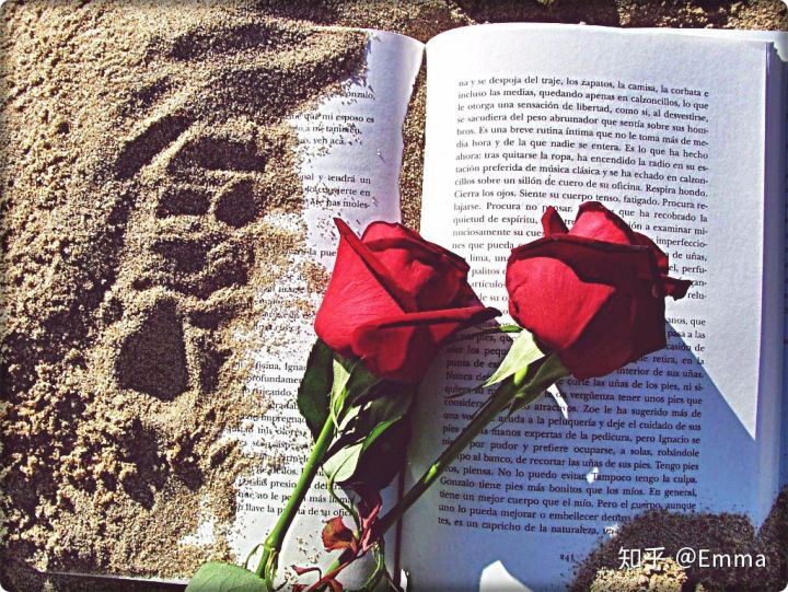 有什么事是你去了日本才知道的,你知道在西班牙不该做的十件事吗