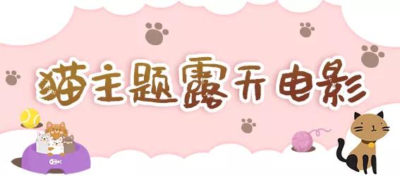 十堰市茅箭区赶集时间,十堰茅箭区约会