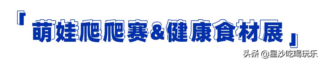 中茂城惊现海狮、海的女儿！带你开启「海洋萌宠奇遇记」