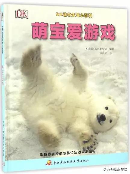 dk科普书怎么样,dk值得入手的书籍