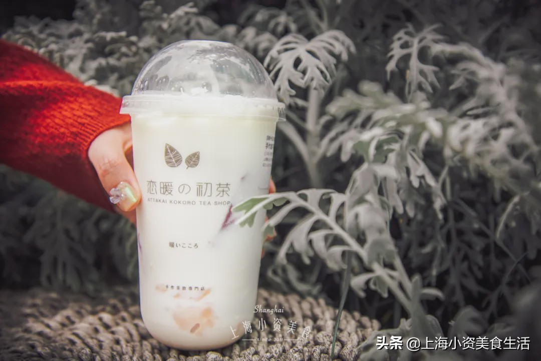 奶茶网红牛乳茶,奶茶各种网红饮品