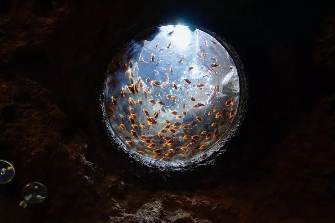 珠海哪里最值得去旅游,珠海哪里旅游比较值得去