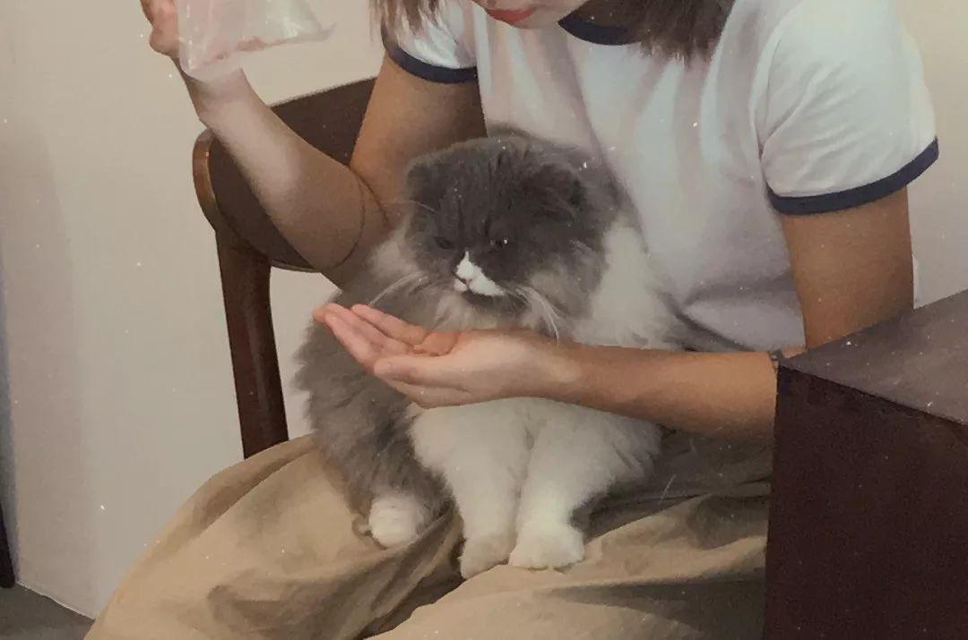 深圳适合放松的咖啡厅,深圳适合一个人打卡拍照的咖啡厅