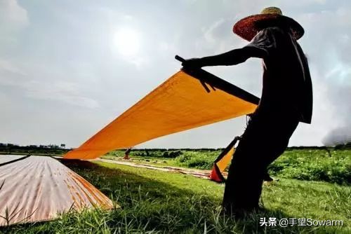 香云纱出汗有印记,香云纱珍珠纱