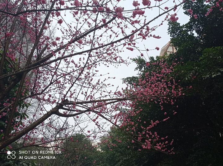 闷恋一一新小说连载,41母亲10000针缝布鞋，草鞋情深