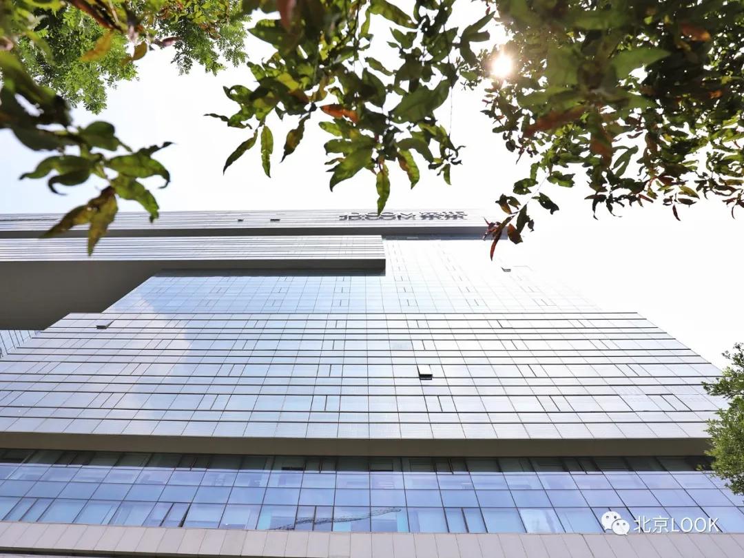 别人家的公司,别人家的公司还招人吗