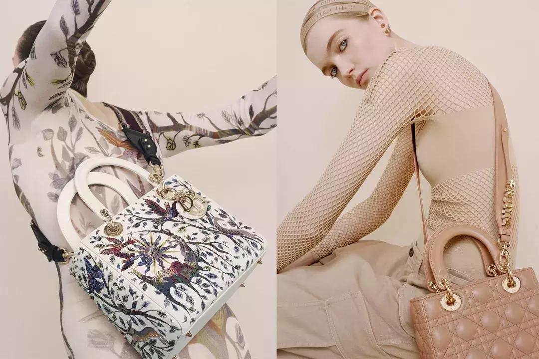 苏明玉石天冬如何认识的,苏明玉石天冬系列