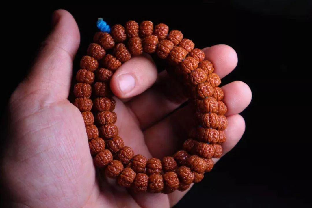 金刚菩提新手如何避坑,买金刚菩提如何避坑