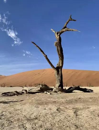 假期撒手没的戏精同事们，竟然在我挤春运的时候吹海风？？（下）