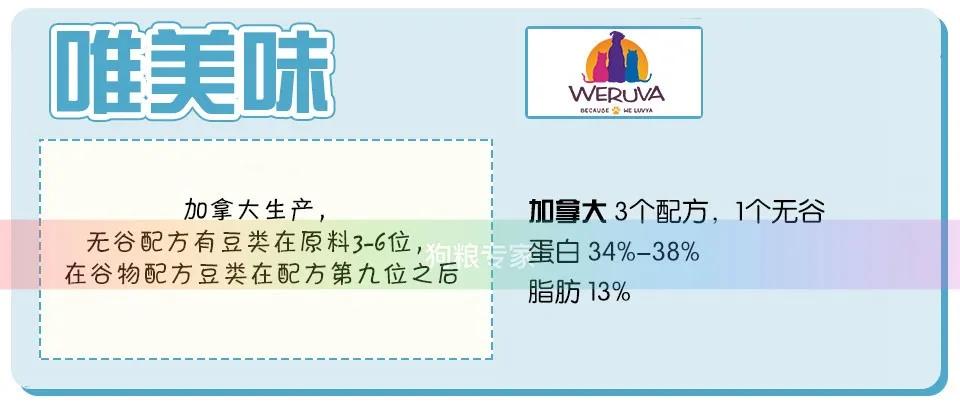 wdj鎺ㄨ崘鐨勭嫍绮帓琛屾,2020wdj鐙楃伯鎺掕