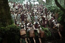 赛德克巴莱最终票房多少,赛德克巴莱电影亏钱吗