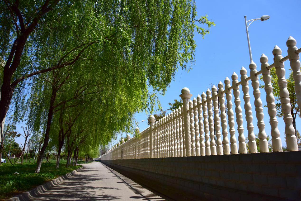 西安外国语大学排行榜,西安外国语大学2022考研名单