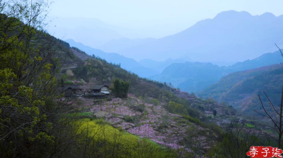 李子柒视频转场技巧,李子柒拍摄视频技巧