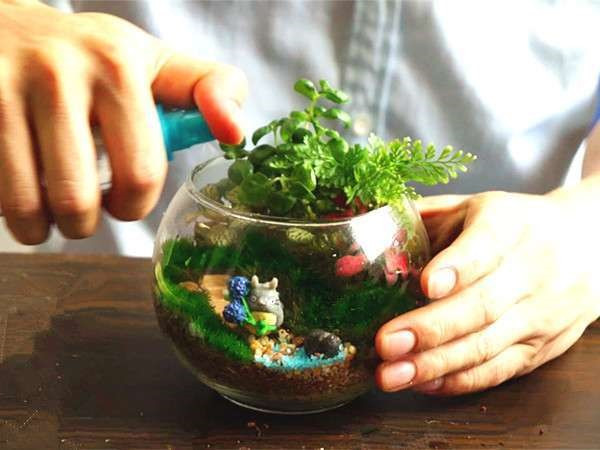 214情人节给女朋友送什么礼物,214情人节送女朋友什么