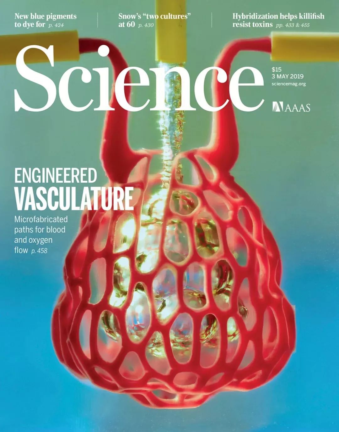 期刊的分类,期刊种类排名