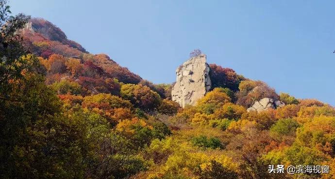 天津周边的旅游景点推荐一日游,天津周边旅游一日游攻略大全