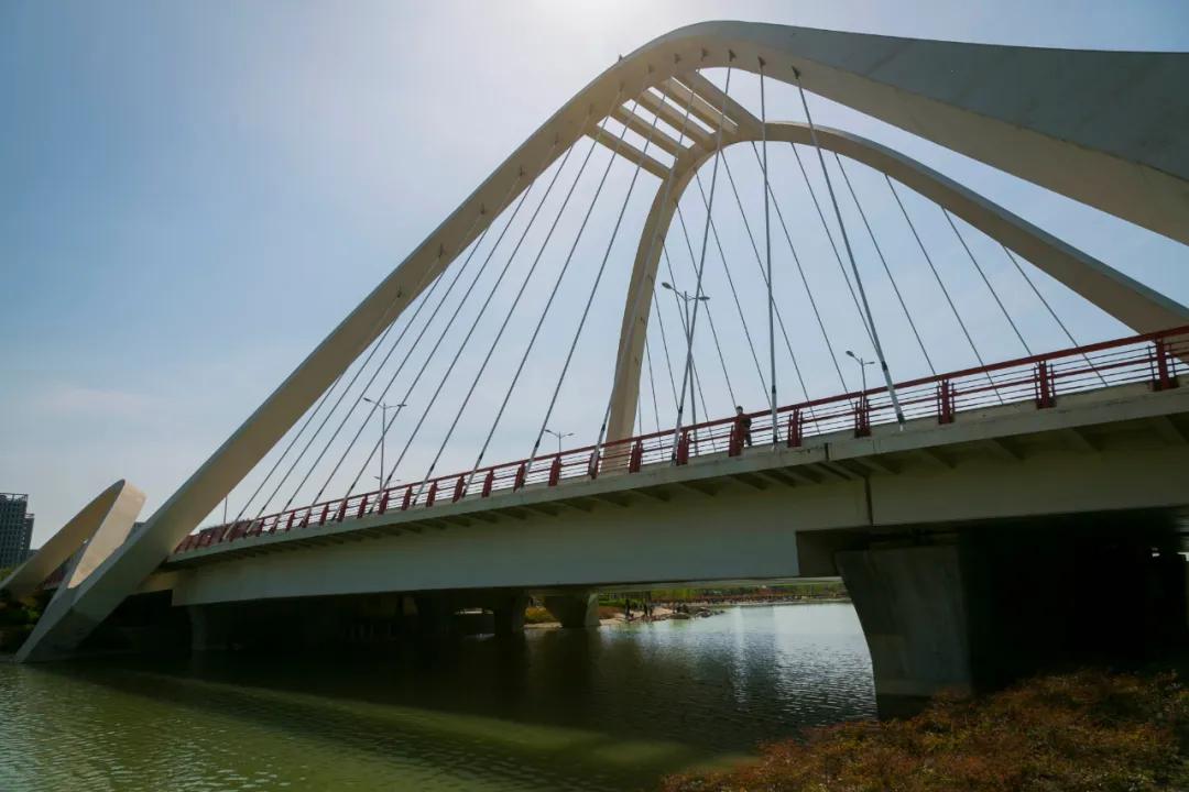 郑州亲子游户外公园十大排行榜,郑州免费适合遛娃玩的公园