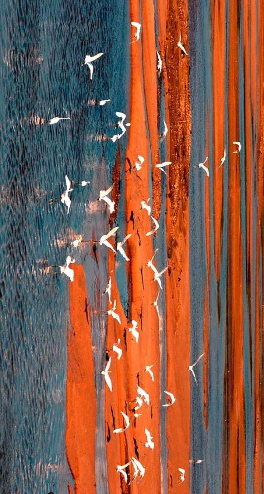 2019军运会开幕式完整回放,军运会精彩时刻