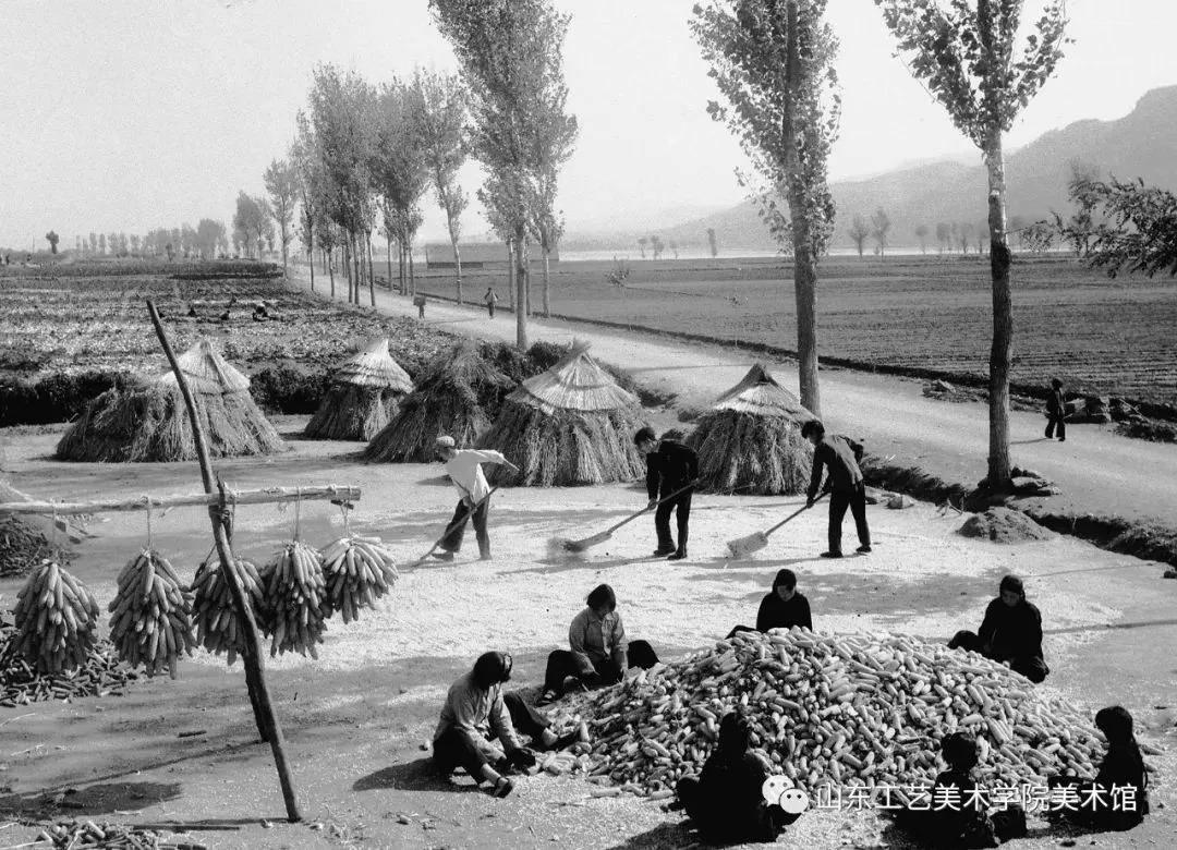 抗日战争日军的遗憾,回顾爷爷抗战经历