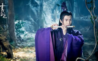 烧火棍对战天琊剑,天琊神剑和烧火棍