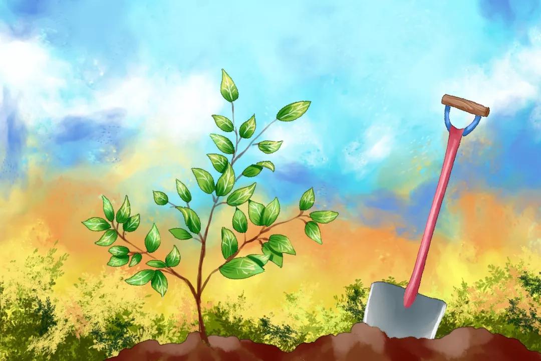 3.12植树节手抄报素材+模板+1~6年级作文范文，快收藏