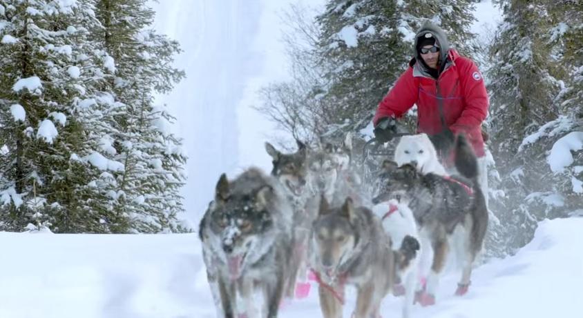 加拿大鹅canadagoose多少钱,canadagoose品牌介绍
