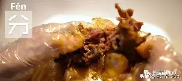 连成都人都赞不绝口的兔头空降安顺!这些兔兔还是安顺人自家养的