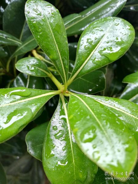 读书修心提高自律,读书明理励志修身