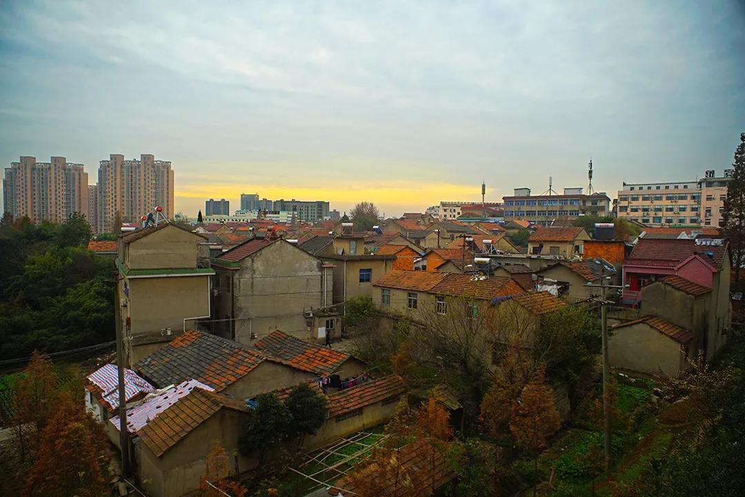 幸福村庄的密码,幸福林带中的幸福密码