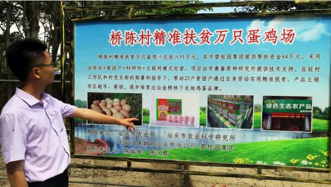 碧桂园助推乡村振兴奔向美好生活,碧桂园助力美丽乡村建设