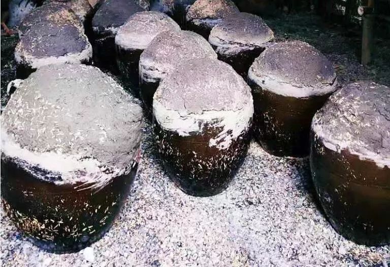 如果没喝过福州的青红酒，那么这些以红糟调味的闽菜你一定要尝尝