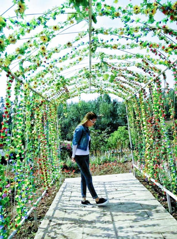 雄飞集团榜样|周俊英:勤勤恳恳、认真负责