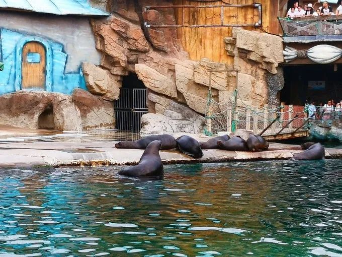 大连金石滩冬天一路美景,漫步在大连金石滩的黄金海岸