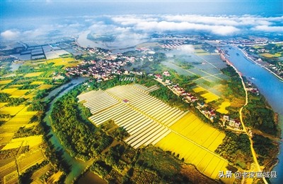 美丽乡村建设变化对比,美丽乡村发展变化图片