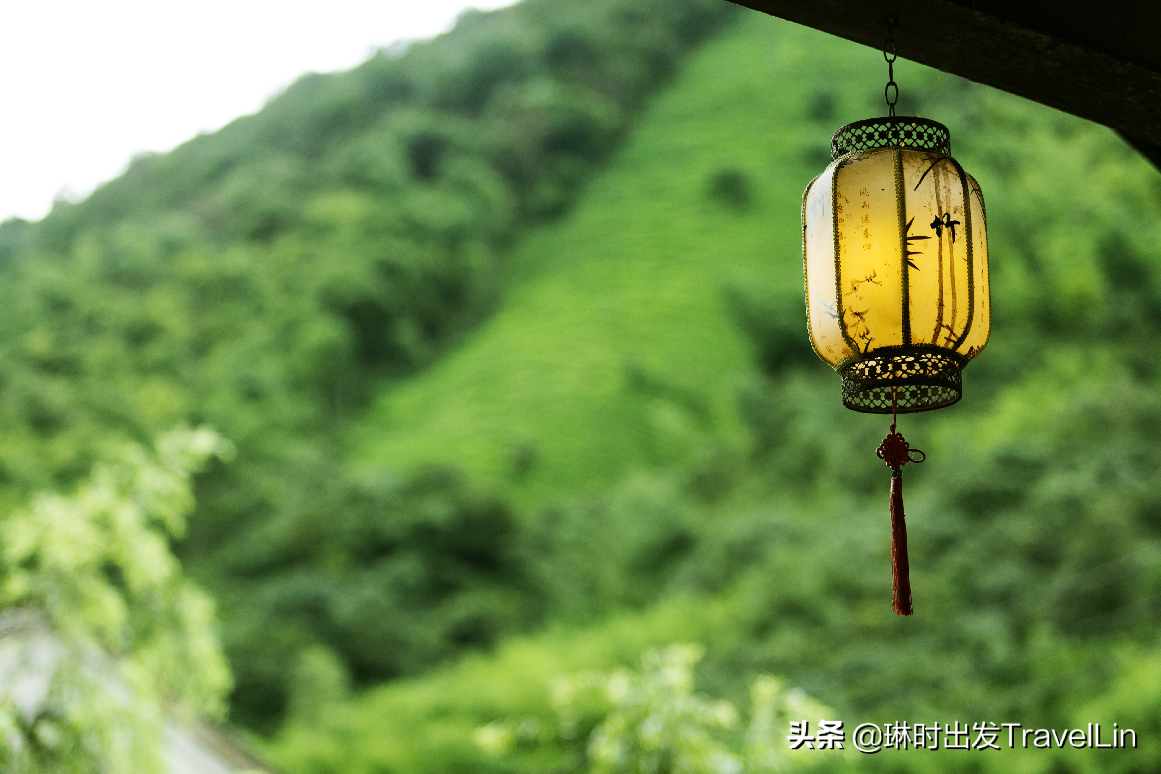 莫干山冬天适合旅游吗现在,莫干山秋季泡温泉推荐