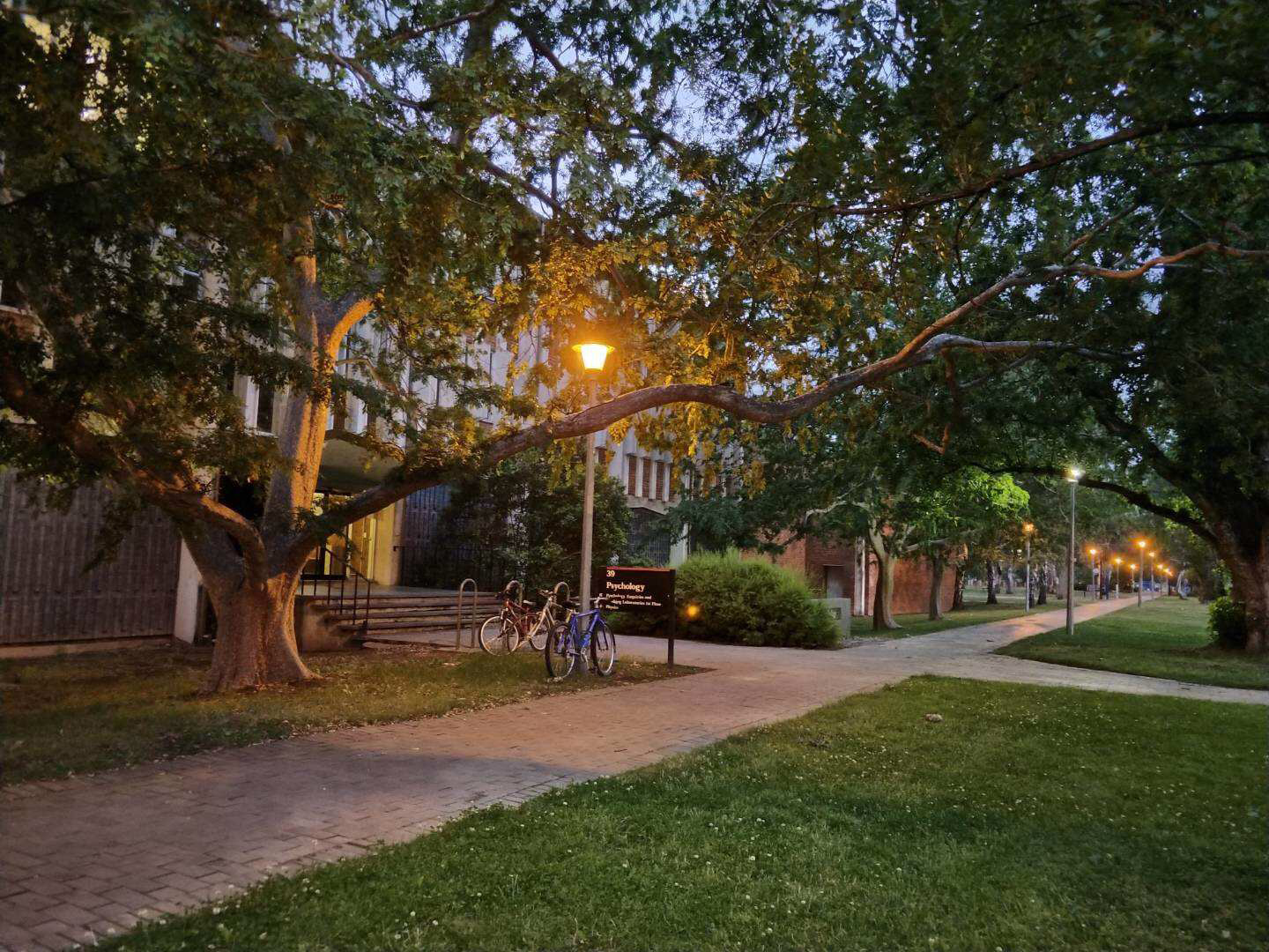 澳洲好找工作的专业是,澳大利亚紧缺移民专业