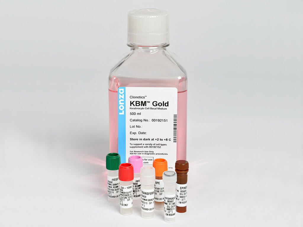 表皮生长因子修复角质层能用多久,表皮角质化细胞