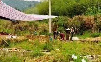 走进田黄石的神秘面纱,解读田黄石的秘密